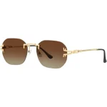 عینک آفتابی گرین‌لاین مدل Green Lion Selvante Sunglasses